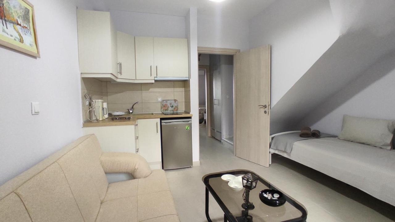Asterias Maisonette & Apartments Kariani ภายนอก รูปภาพ